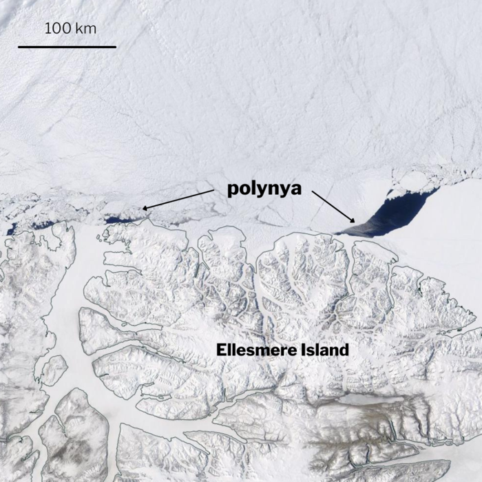 Polynya north of Ellesmere Island