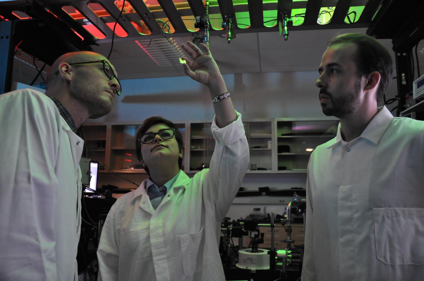 Nathaniel Gabor, Fatemeh Barati and Max Grossnickle