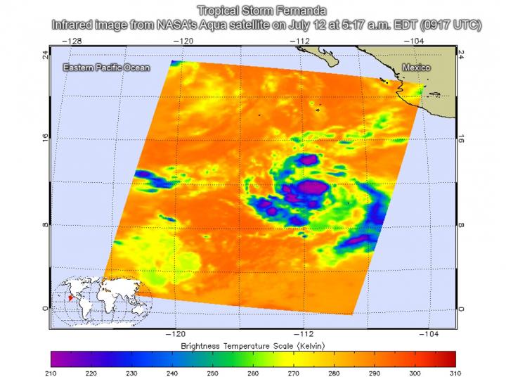 Infrared View of Fernanda