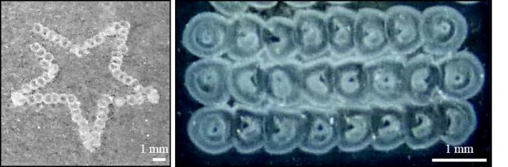 Gel Structures Made Using Hierarchical Biofabrication