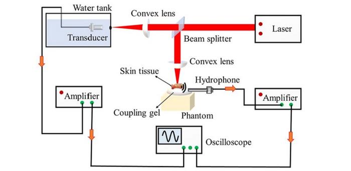 Photoacoustic spectral analysis (PASA) involves shining laser pulses of various wavelengths at a target tissue and measuring the generated ultrasonic waves with a hydrophone.