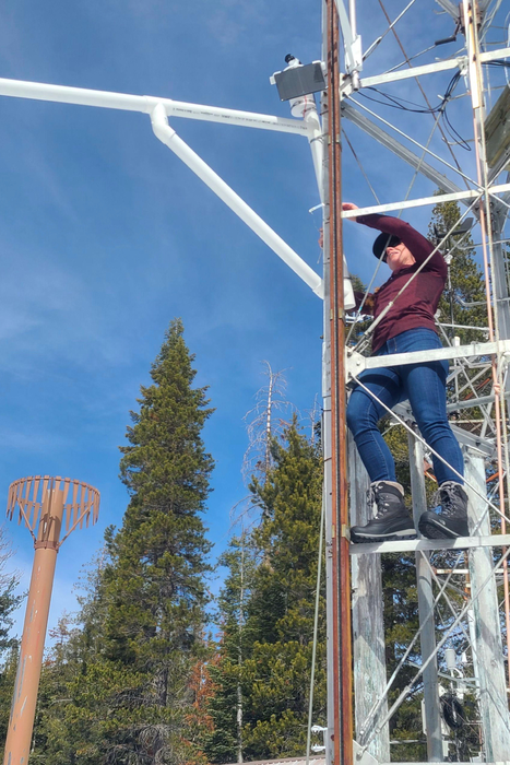 Berkley snow depth sensor