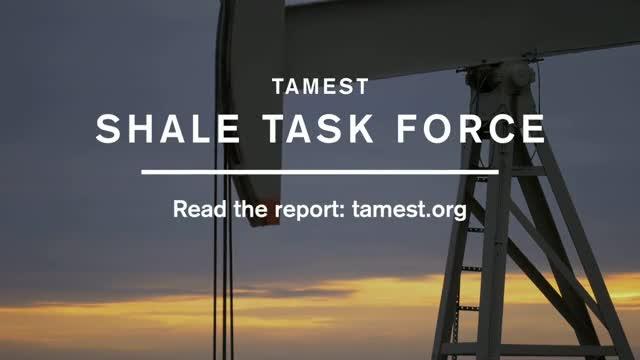 The TAMEST Shale Task Force Report