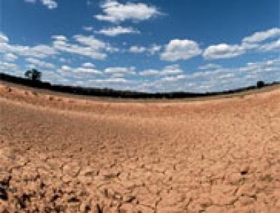 Drought-Affected Ground