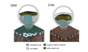 Soil subsidence impacts illustration