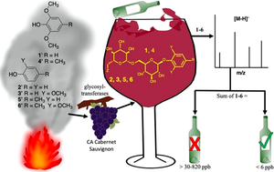 Detecting smoke taint in wines