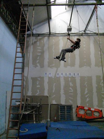 Sway: Parkour Athletes as Models for Orangutans