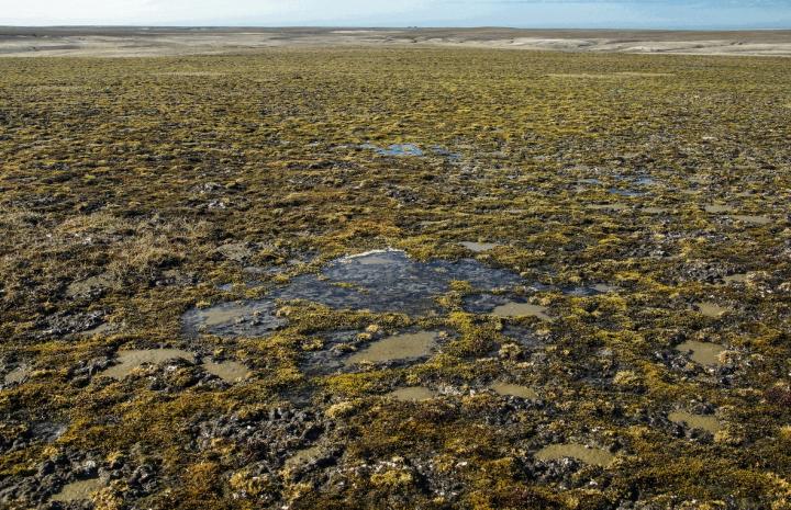 Vise Island general view