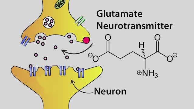 Glutamate Sensor for Spinal Cord Injuries