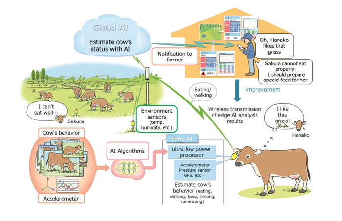 Figure 1: Future vision of livestock industry