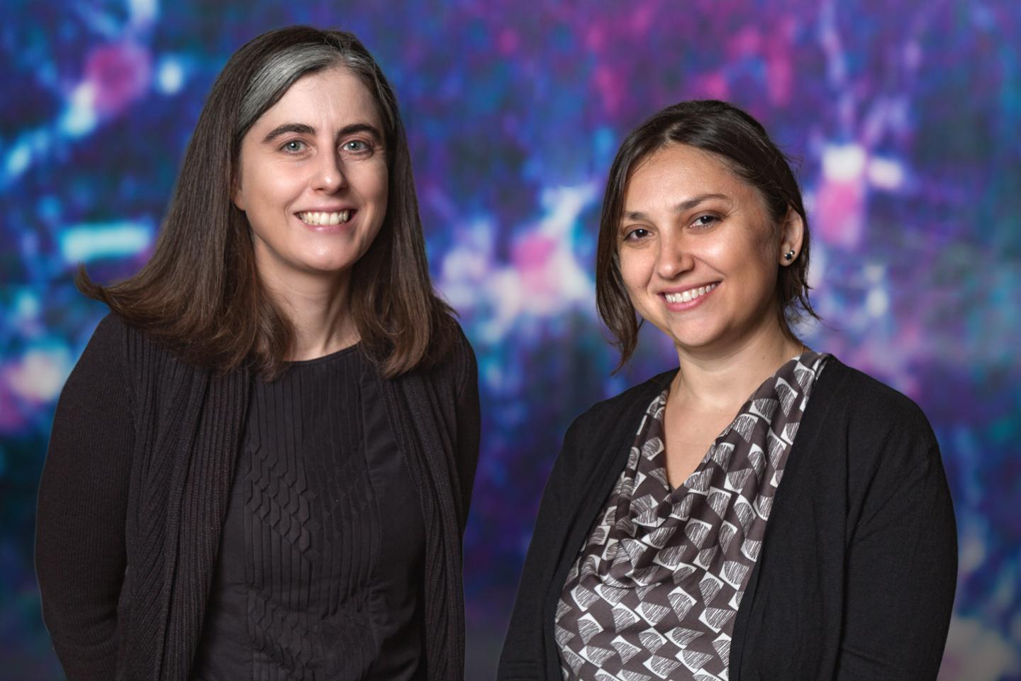 Nicola Allen and Isabella Farhy-Tselnicker, Salk Institute 