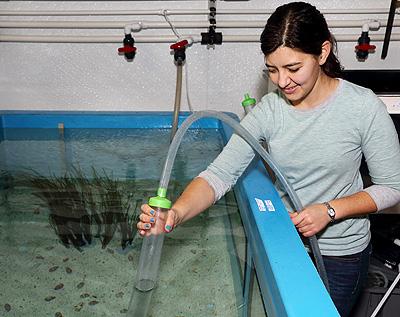Stephanie Bush, Monterey Bay Aquarium Research Institute