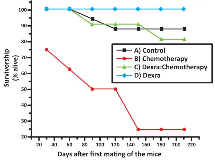 Survivorship Graph