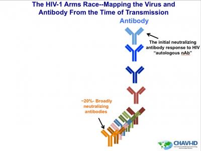 HIV Arms Race