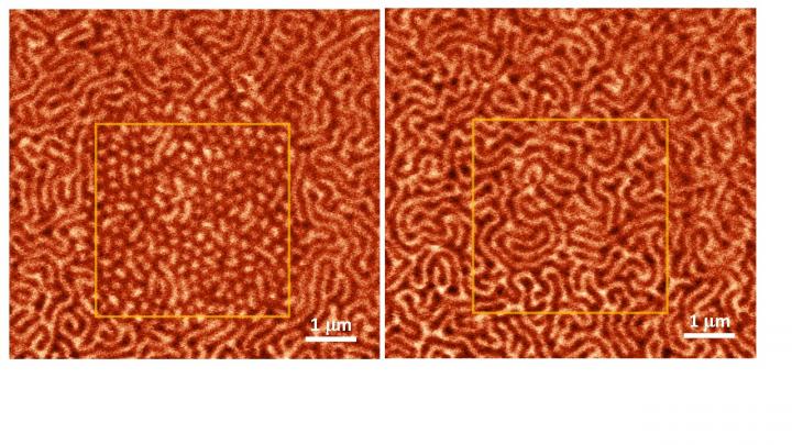 Skyrmion Lattice