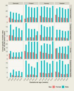 External causes of death