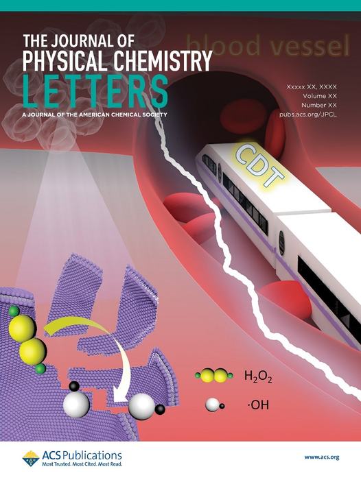 Perspective Article Outlines Future Direction of Peroxidase Progress and Development in Chemodynamic Therapy