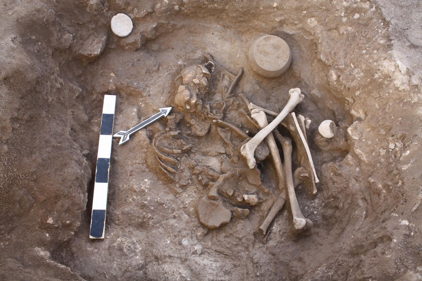 Human Remains in Armenia from Middle Bronze Age
