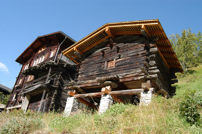 Historical building timber