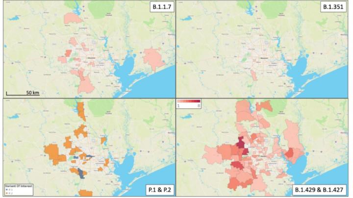 Geospatial distribution for each variant of concern identified in the study.