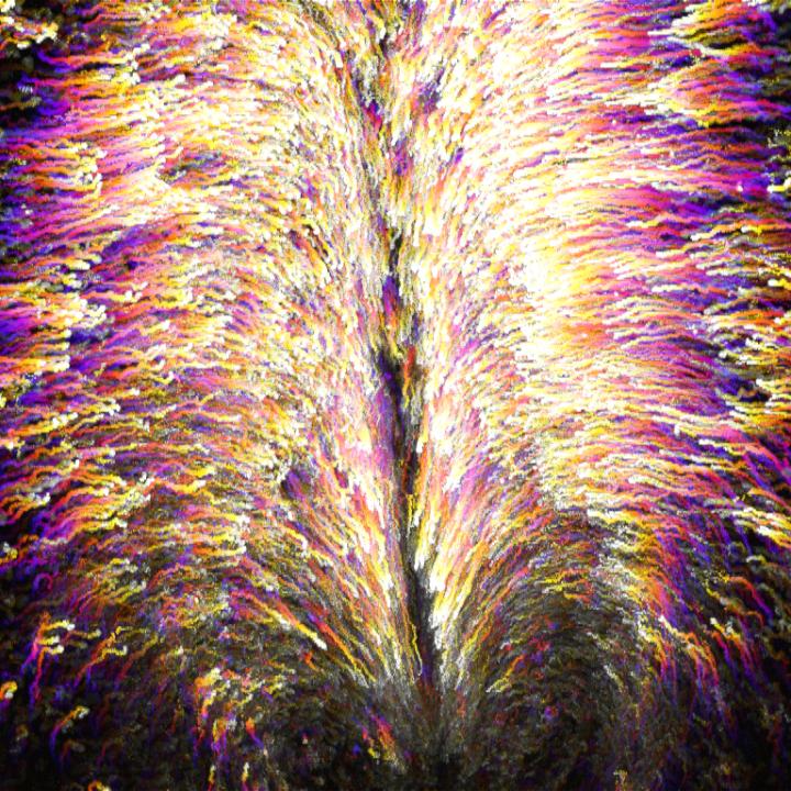 Tracks of Endoderm Cell Movements