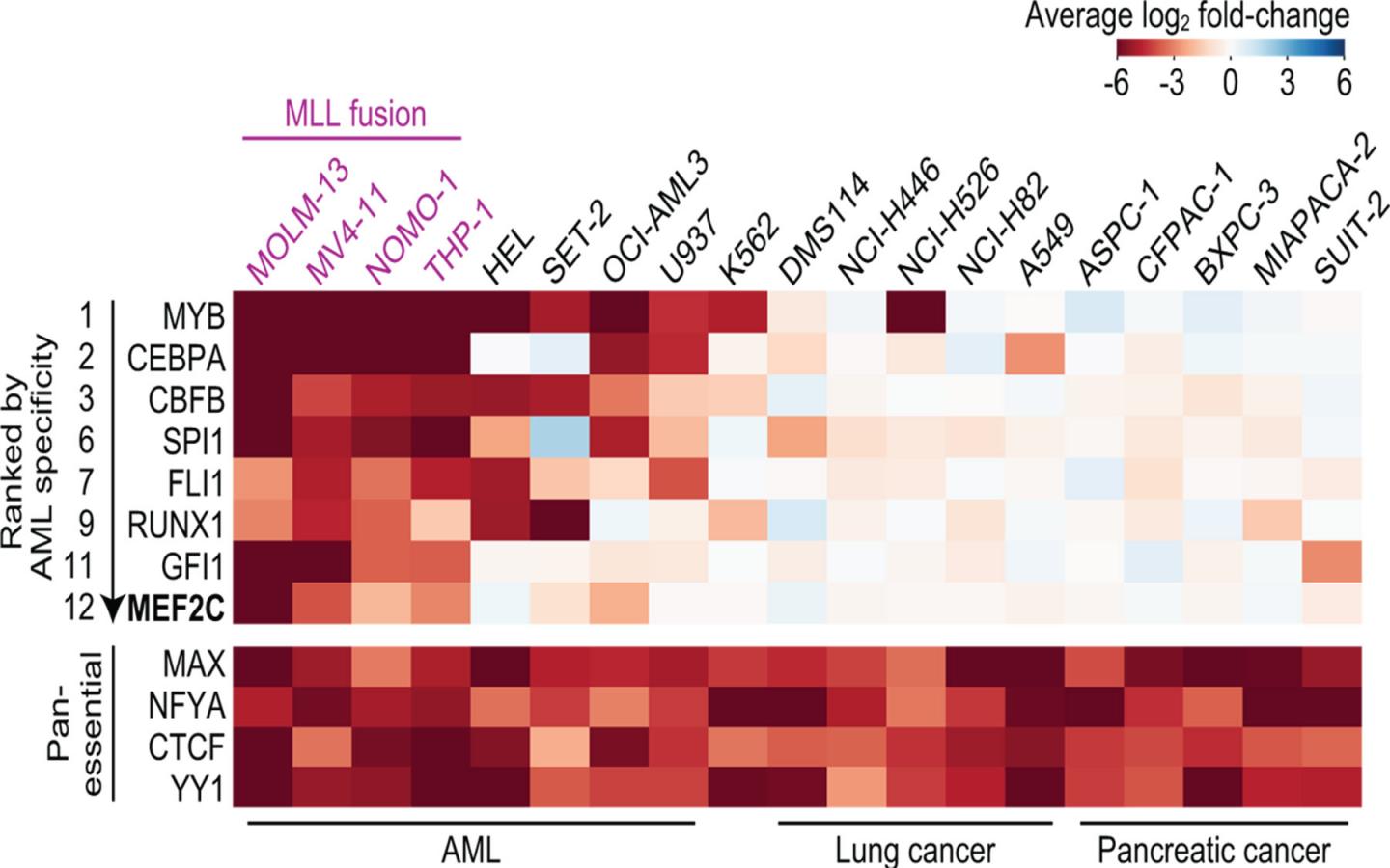 Using CRISPR to Find Powerful Anti-cancer Drug Targets