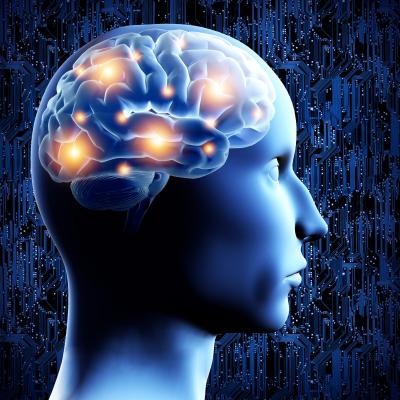 New Study Settles How Social Understanding Is Performed by the Brain