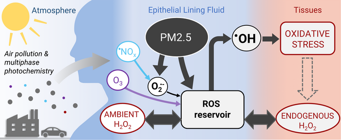 Health effects of atmospheric air pollution