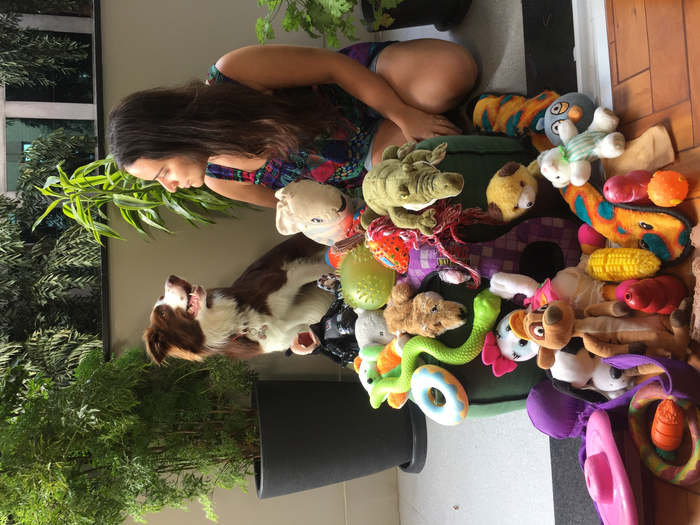 Dog and owner together