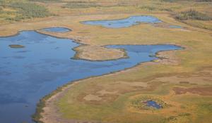 Alaska's Yukon Flats National Wildlife Refuge