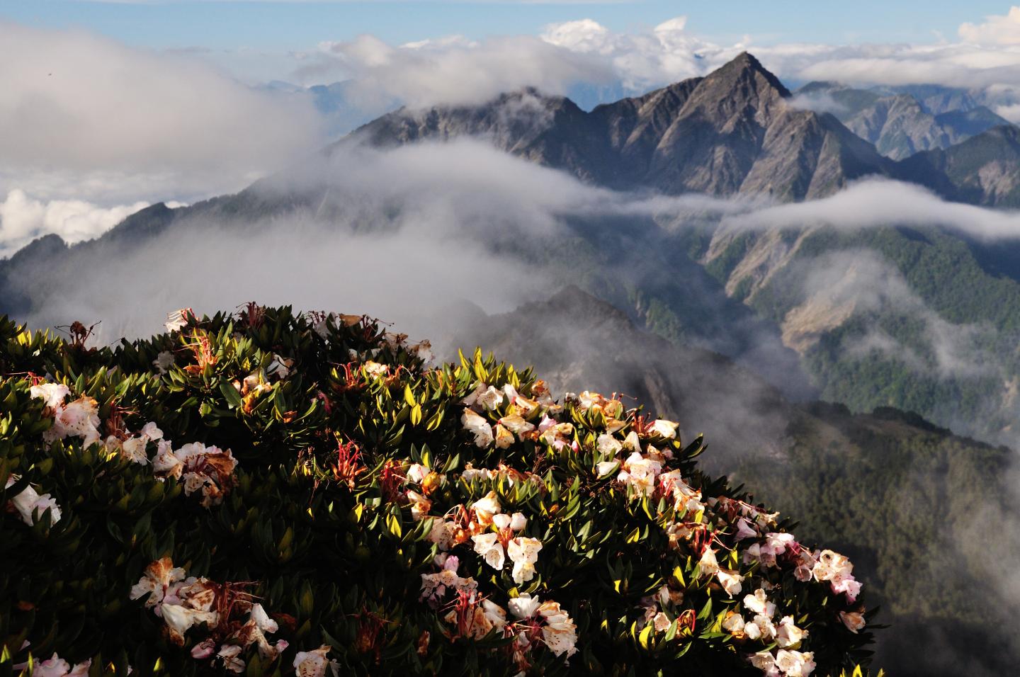 Tolerance to Daily Versus Seasonal Temperature Changes May Dictate Fitness (2 of 3)