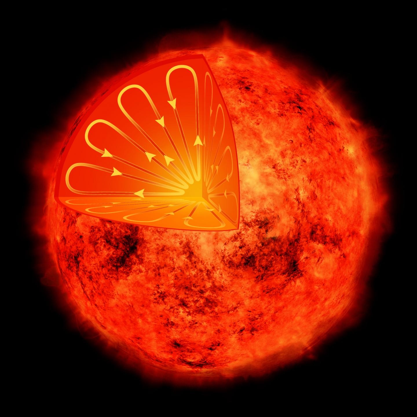 Interior of a Low-Mass Star