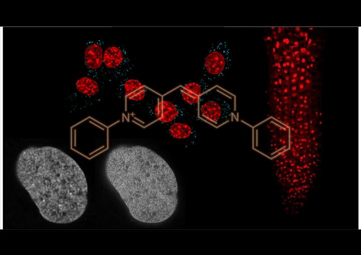 Kakshine is an exciting revolution in DNA imaging