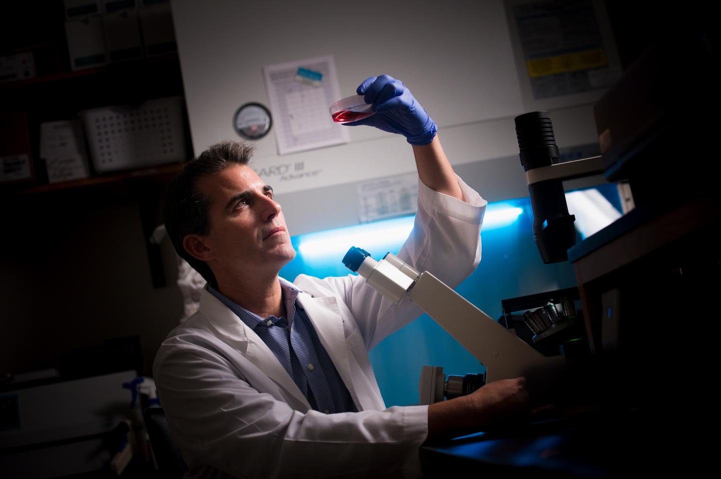 Michael Dyer, St. Jude Children's Research Hospital