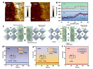 CsPbBr3 Out-of-Phase Perovskite Helps Highly Sensitive X-ray Detection