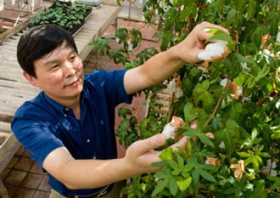 Dr. Z. Jeff Chen, University of Texas at Austin