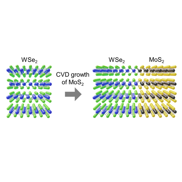 Multi-layered TMDC heterostructure.