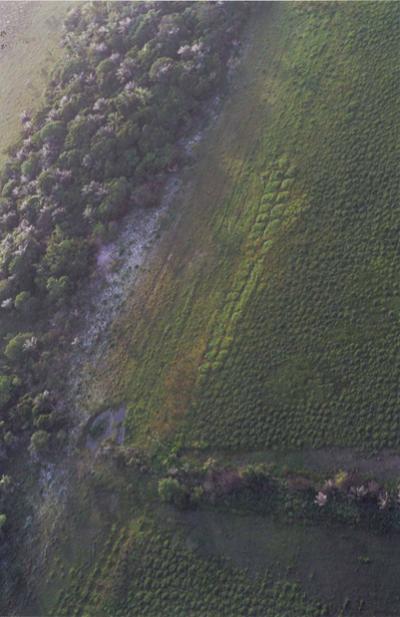 Raised-Field Farming (1 of 2)