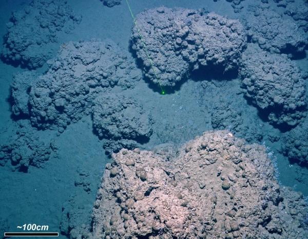 Carbonate crust on the ocean floor