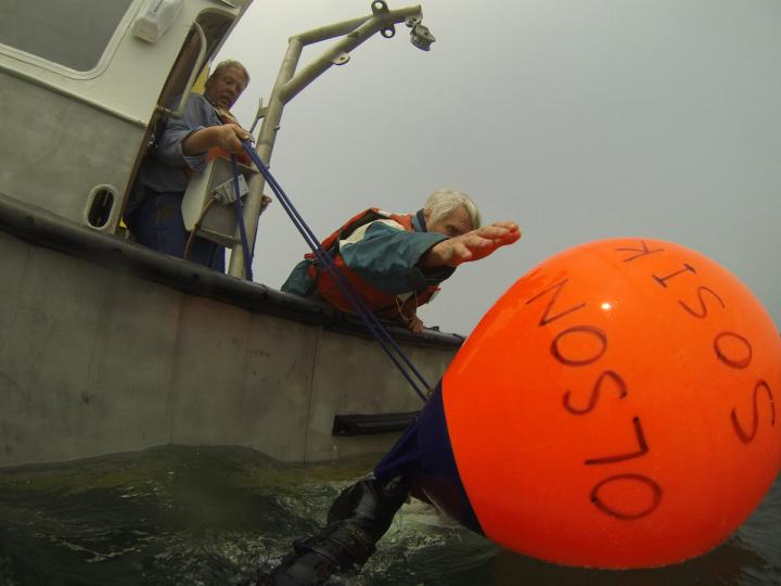 Temperature, Not Predatory Pressures, Drives Plankton Abundance