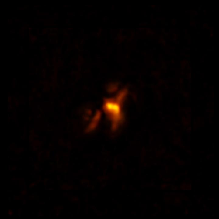 ALMA Phoenix Cluster