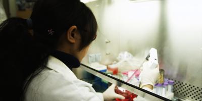 Yuanyuan Li, Ph.d., M.D., University of Alabama at Birmingham