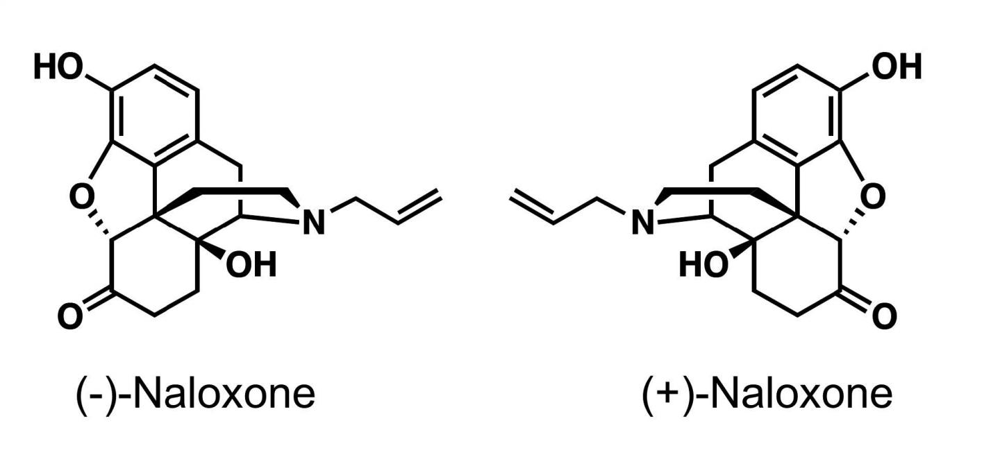 Naloxone Structure