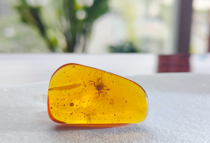 Crab in amber