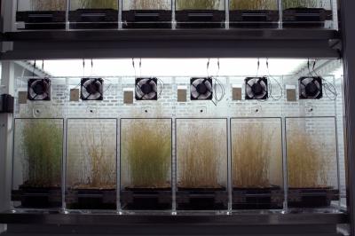 Detailed View of the Selection Experiment