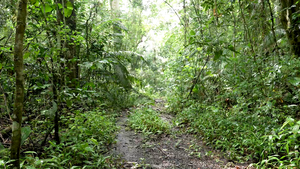 Ahana Fernandez video