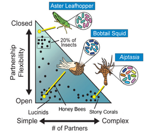 This chart presents a conceptual overview of nature’s symbiotic relationships.