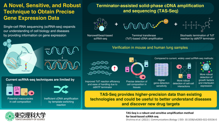 Terminator-assisted solid-phase complementary DNA amplification and sequencing—a new horizon in gene expression research
