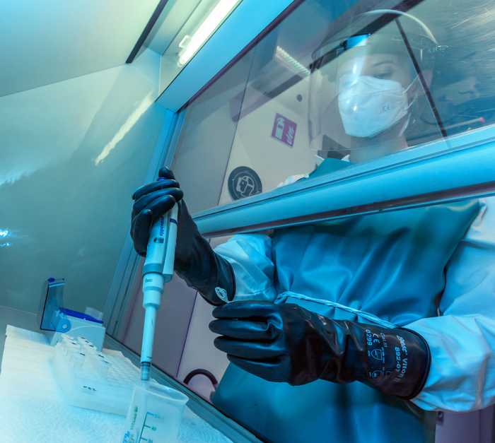 Wet chemistry lab [IMAGE] EurekAlert! Science News Releases