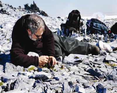 Unique Gene Regulation Gives Chilly Bugs Survival Advantage at Bottom of the World